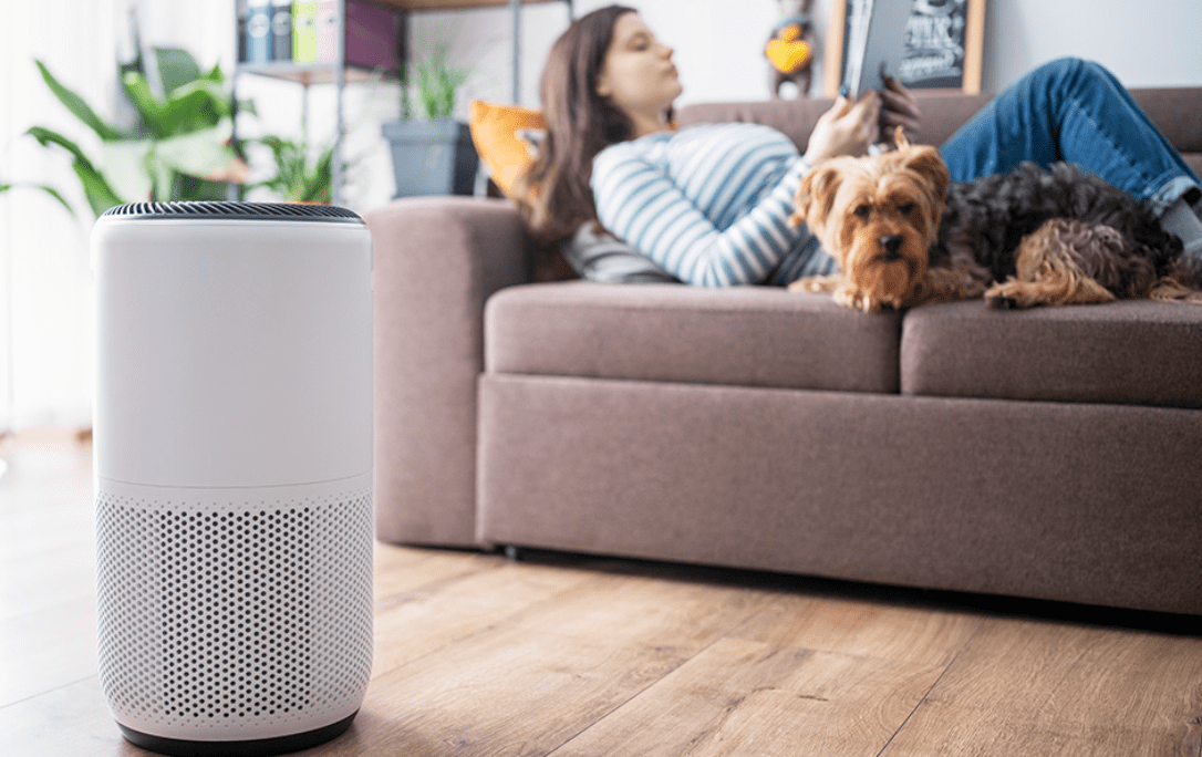 Are Ionic Air Purifiers Safe